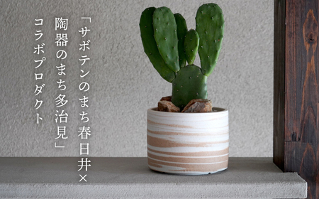 多治見市×春日井市コラボ【美濃焼】 MINO MAKELAY Lサイズ 鉢 赤土マーブル × 【日本有数のサボテンの生産地】 春日井市の名店 後藤サボテン 【井澤コーポレーション】[TBP164]