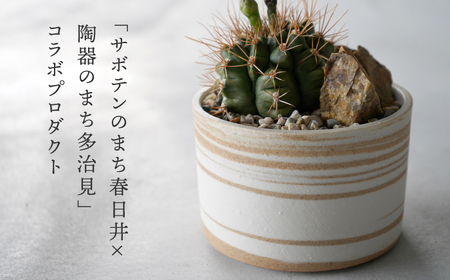 多治見市×春日井市コラボ【美濃焼】 MINO MAKELAY Mサイズ 鉢 赤土マーブル × 【日本有数のサボテンの生産地】 春日井市の名店 後藤サボテン 【井澤コーポレーション】[TBP166]