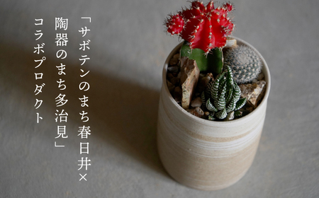 多治見市×春日井市コラボ【美濃焼】 MINO MAKELAY Tall 鉢 赤土マーブル × 【日本有数のサボテンの生産地】 春日井市の名店 後藤サボテン 【井澤コーポレーション】[TBP168]