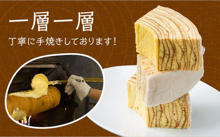 手焼き バームクーヘン と 焼菓子9種 詰め合わせ B 10点 【フランス菓子 サンドール】[TDW002]