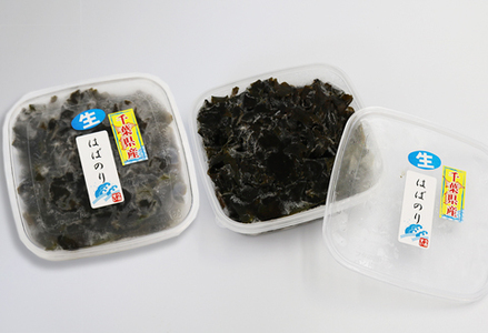 【極味のひもの特製】房州小湊産 天然『生冷 はばのり』200g《数量限定》　[0010-0284]