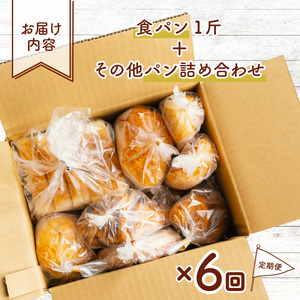 訳あり 杵つき パン 定期便 6ヶ月連続 きねつき 食パン 菓子パン 惣菜パン 冷凍