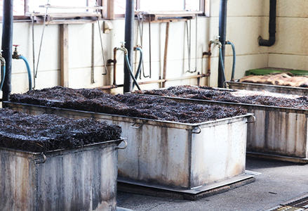 【宮崎商店】天然100％『マルキの房州ひじき』中ひじき 180g×２袋　[0016-0024]