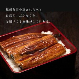 BC6007_うなぎ蒲焼 4尾 & 蒲焼タレ 2本 セット 国産 安全 ふっくら うなぎ 特製 タレ 土用 丑の日 こだわり 蒲焼き 贈答 贈り物 ギフト 急速冷凍 うな丼 うな重 う巻き ひつまぶし うなむすび 濃厚 冷凍 しいば水産 角長 お取り寄せ 和歌山県 湯浅町 送料無料