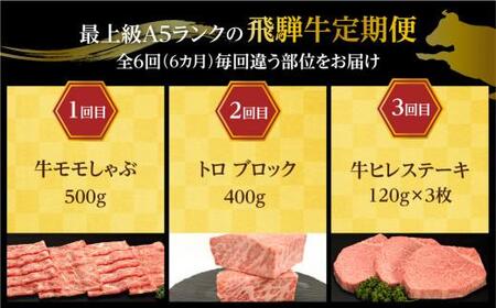 【定期便6ヶ月】 A5ランク肉 飛騨牛 定期便 約2.6kg(360g以上×6ヶ月) 牛肉 ( 焼肉 すき焼き しゃぶしゃぶ ステーキ 肩ロース ヒレ サーロイン もも バラ ) | 食べ比べ A5  人気 牛肉 飛騨牛 定期便 おすすめ 牛肉 定期便 肉 和牛 焼肉 すき焼き 牛肉 しゃぶしゃぶ ステーキ 定期便 牛肉 人気 高山市 飛騨高山 ながせ食品 FH101