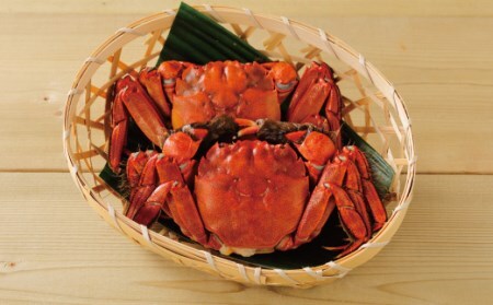 26-030．最高級天然食材！四万十川の天然ツガニ 約700g～800g（4～6匹）