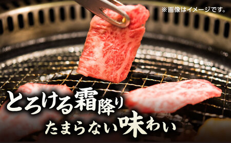 【6回定期便】くまもと黒毛和牛 焼肉用 肩ロース 500g（250g×2pc）【馬刺しの郷 民守】 熊本県産 九州産 和牛 お肉 肉 バラ 黒毛和牛  [ZBL092]