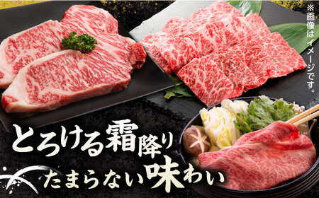 【3回定期便】くまもと黒毛和牛 贅沢定期便（ステーキ すき焼き しゃぶしゃぶ 焼肉）【馬刺しの郷 民守】 和牛 サーロイン 肩ロース すき焼き 焼肉用 しゃぶしゃぶ  [ZBL035]