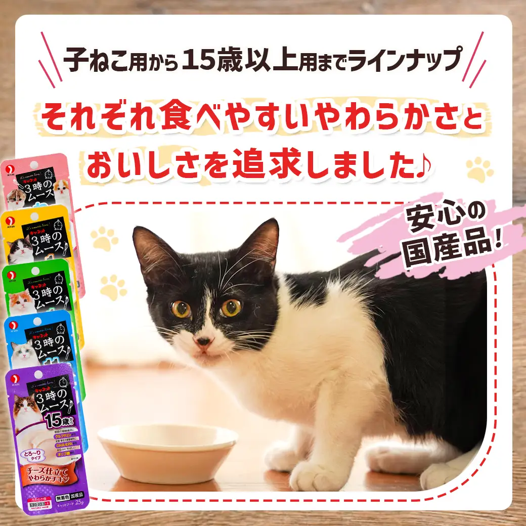 《キャットフード》3時のムース(15歳から)チーズ仕立て※ポスト投函_LE-3304キャットフード 15歳から チーズ仕立て 長寿猫 健康 食べやすさ とろ～り グルコサミン DHA EPA オリゴ糖配合