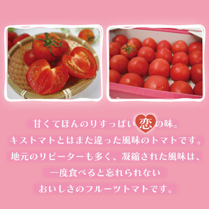 ★数量限定★JA　恋のつぼみ(フルーツトマト2箱)｜トマト フルーツトマト 恋のつぼみ 先行予約 数量限定 野菜 茨城県 行方市(AE-6)