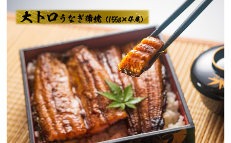 1720-2 【定期（全3回）】大人気！鯉家の極上蒲焼「大トロうなぎ（4尾）」【国産・手焼き備長炭】 KN040-T01 魚 冷凍 鰻