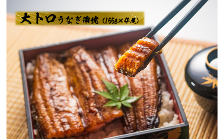 1721-2 【定期（全6回）】大人気！鯉家の極上蒲焼「大トロうなぎ（4尾）」【国産・手焼き備長炭】 KN040-T02 魚 冷凍 鰻