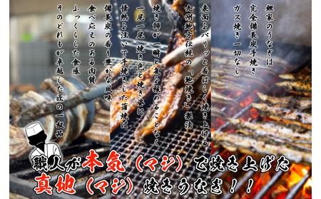 1722-2 【定期（全3回）】大人気！鯉家の絶品蒲焼「真地焼きうなぎ（2尾）」【国産・手焼き備長炭】 KN040-T03 魚 冷凍 鰻
