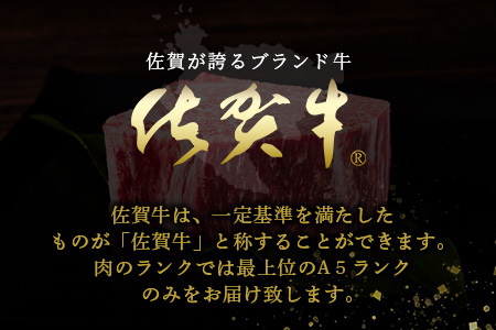 佐賀牛　肉の嬢王ヒレ肉ステーキ用（200g×5枚）　１２回定期便　総重量12kg