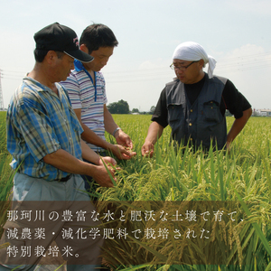 【3ヶ月定期便】【令和7年産】特別栽培米コシヒカリ「風彩常澄」計15kg（5kg×3回） （FC-103）