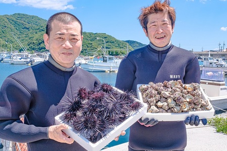 (1617) 【定期便】瓶詰めウニ 天然 ムラサキウニ 2本セット 毎月発送 全3回 60g×6本 合計360g 長門市