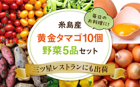 【お中元対象】糸島の朝産み黄金タマゴ10個 朝どれ新鮮野菜5品 セット【福岡県糸島産】 糸島市 / オーガニックナガミツファーム 玉子 やさい 	[AGE046]