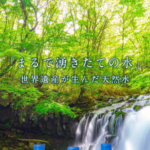 富士忍野　Mt．Fuji　Springs　8L×3本　１ケース