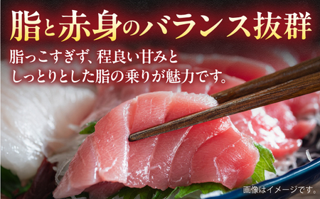 【訳あり】天然マグロ 中トロ メバチ 計約900g マグロ  [AKAK010]