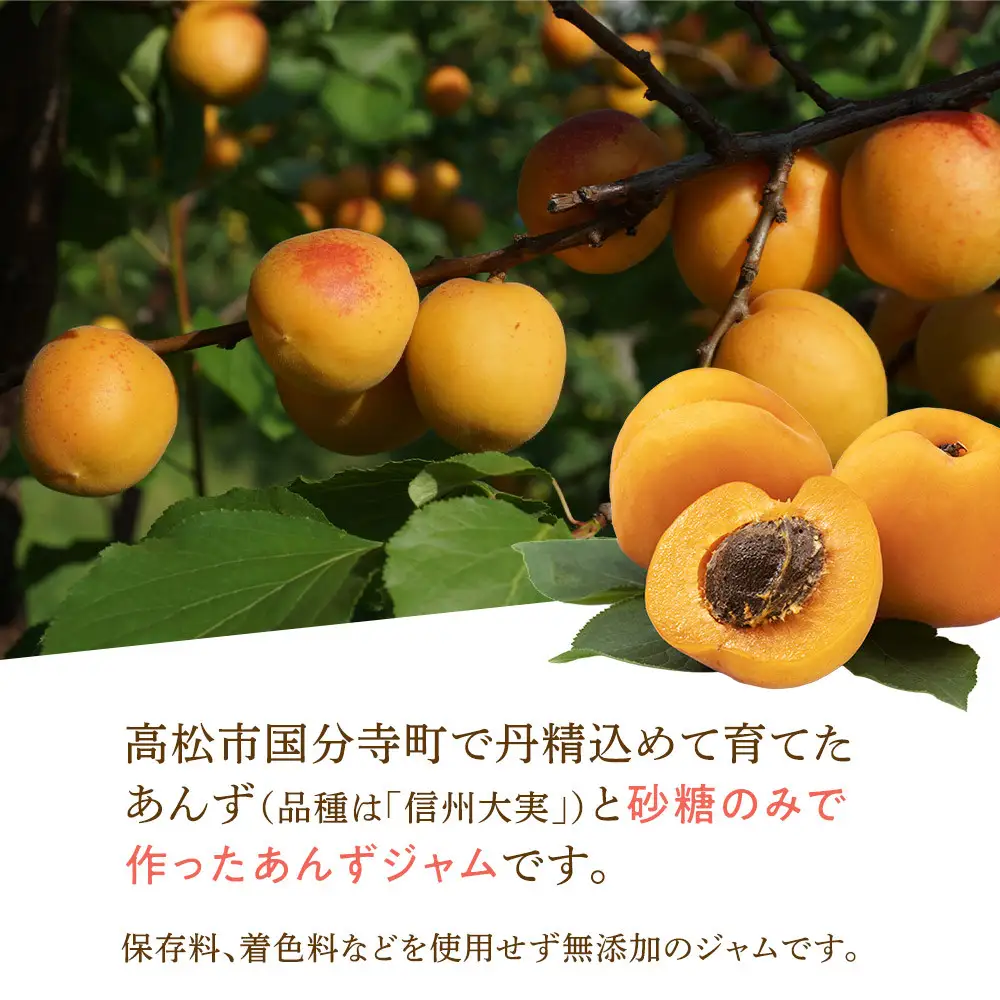 あんずジャム　1個