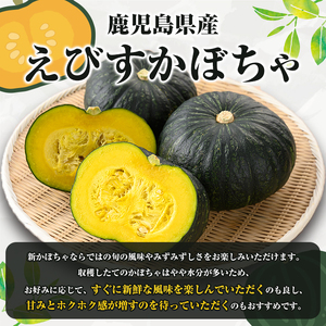 鹿児島県産 えびすかぼちゃ(約5kg) 国産 野菜 かぼちゃ カボチャ 南瓜 煮物 天ぷら バーベキュー BBQ スイーツ お菓子 期間限定【松永青果】akn053-04