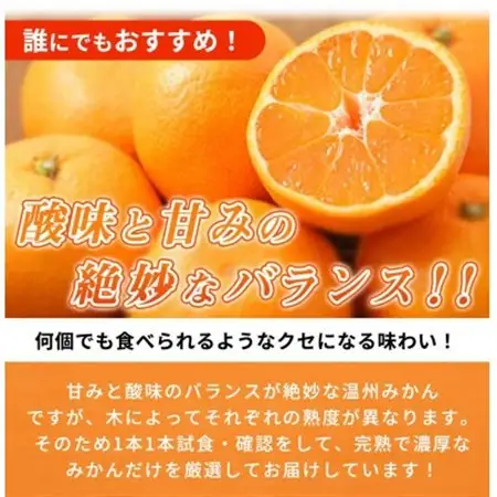 【2026年11月下旬より発送】高級ブランド田村みかん　5kg【1216839】