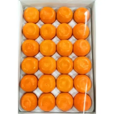 赤秀品　紀州和歌山ハウスみかん2.5kg【日高町】【1216957】