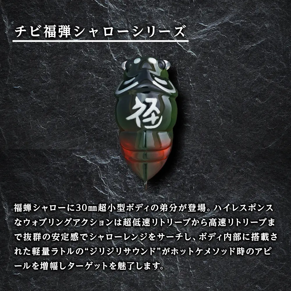 千歳市支笏湖Dセット（湖沼用ベーシックルアーセット）
