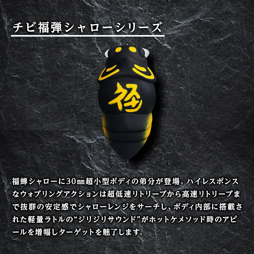 千歳市支笏湖Eセット（湖沼用ベーシックルアーセット）