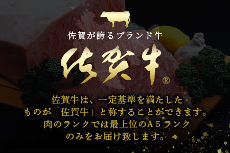 佐賀牛　特選厚切サーロインステーキ（300g×５枚）1.5kg　L-44
