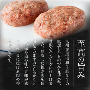 九州産黒毛和牛のハンバーグ(100g×2個入り)×2パック N0105-YA0302