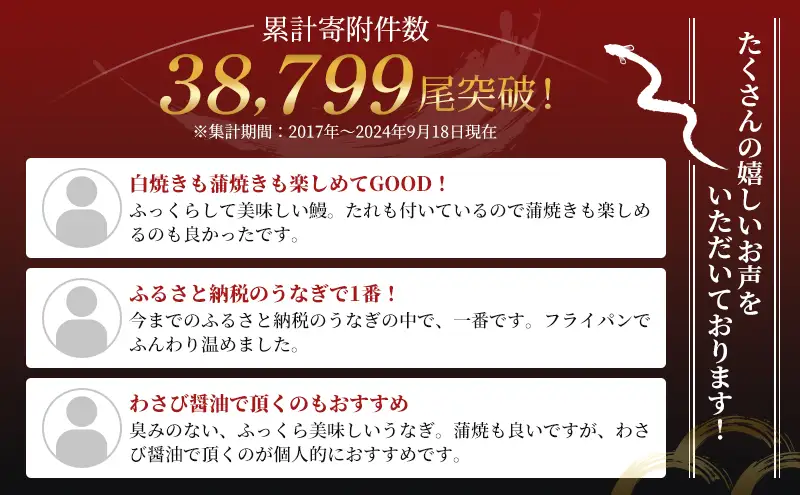 うなぎ 白焼き 2尾 (110g×2本)セット 国産うなぎ 浜名湖うなぎ 冷凍うなぎ 高評価