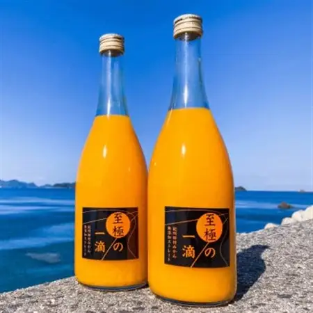 【無添加】田村みかんの新鮮100%ジュース「至極の一滴」720ml×2本入り(日高町)【1406581】