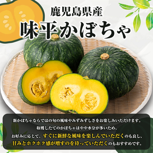 鹿児島県産 味平かぼちゃ(約10kg) 国産 野菜 かぼちゃ カボチャ 南瓜 煮物 天ぷら バーベキュー BBQ スイーツ お菓子【松永青果】akn053-32