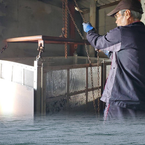 【ひじき】【秀品】寒ひじき100g 愛媛県 松山市【OG0013】