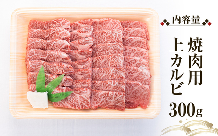 白川郷 飛騨牛 上カルビ 焼肉 用 300g 高山米穀 焼肉 [S566]