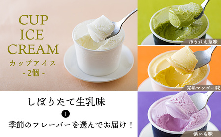アイスクリームお楽しみCセット カップアイスやパフェ3種9個 　TF0726-P00023