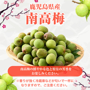 訳あり！鹿児島県産 南高梅(約4kg) 国産 果物 梅 うめ ウメ ナンコウウメ 和食 梅干し 梅酒 梅シロップ 訳アリ サイズ混合 期間限定【松永青果】akn053-09