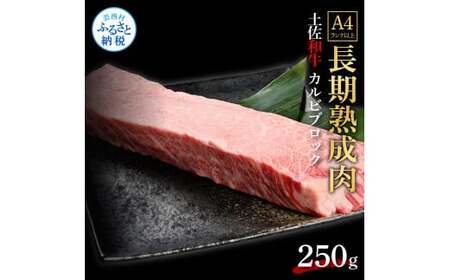 天下味 エイジング工法 熟成肉 土佐和牛 特選 カルビブロック 250g 