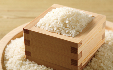 【令和7年産 数量限定】 四万十 の 米どころ 山間地域で育てた 大宮米 ヒノヒカリ 10kg 高知県 高知 しまんと 国産 お米 米 白米 精米 ひのひかり 低農薬栽培 ご飯 産地直送 26-789