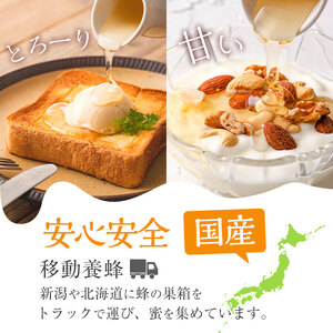 今年 イチオシ はちみつ 2本 セット( アカシア 500g、 百花 500g) 蜂蜜 国産  【新屋養蜂場】 A429-v02