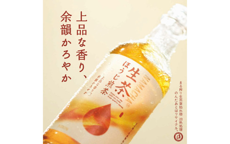 【定期便6回】キリン 生茶 ほうじ煎茶 525ml ペットボトル × 24本 6ヶ月