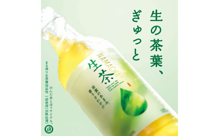 【定期便6回】キリン 生茶 525ml × 24本 6ヶ月