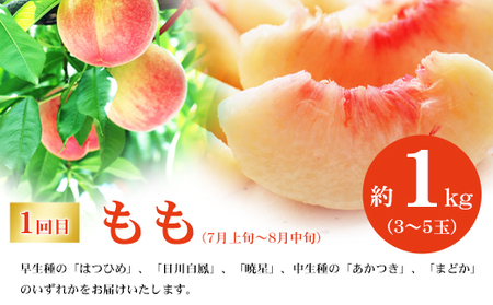 No.2767福島のフルーツ定期便２種【2026年発送】　桃 シャインマスカット