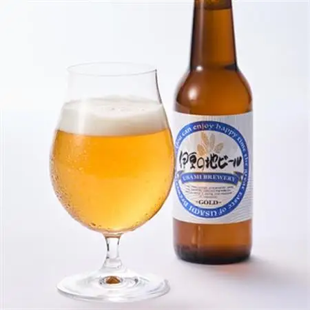 伊豆の地ビール3種【4本セット】_酒・アルコール 地ビール ビール _【配送不可地域：離島】【1132742】