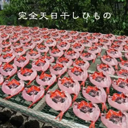 【数量・期間限定】金目鯛 天日干しひもの 2枚 詰合せセット　ご家庭で大活躍のお魚　伊東市人気の海鮮_金目鯛 ひもの 詰め合わせ 干物_【配送不可地域：離島】【1137673】
