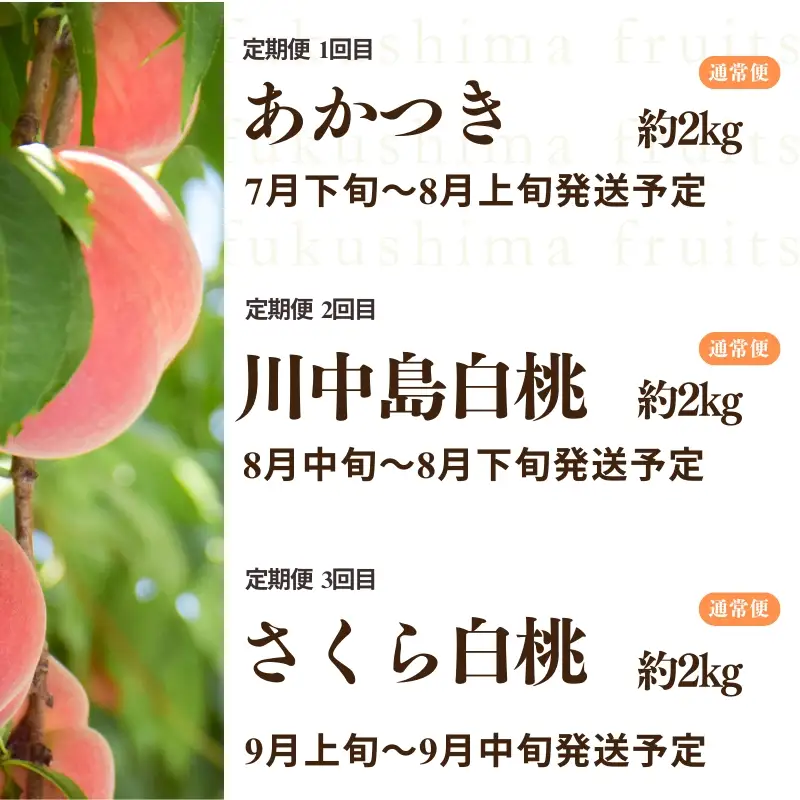 No.2791中野/佐藤果樹園 福島の桃３種定期便 各約2kg【2026年発送】