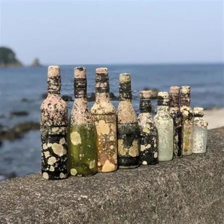 白ワイン潜酔酒(シャルドネ)_酒・アルコール 白ワイン ワイン _【1380226】