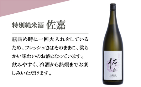 【The SAGA認定酒】佐嘉 特別純米酒 1.8L×1本【白木酒店】[HAQ047]佐嘉 特別純米酒