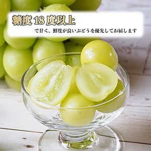【先行予約】朝摘み直送 シャインマスカット 2kg